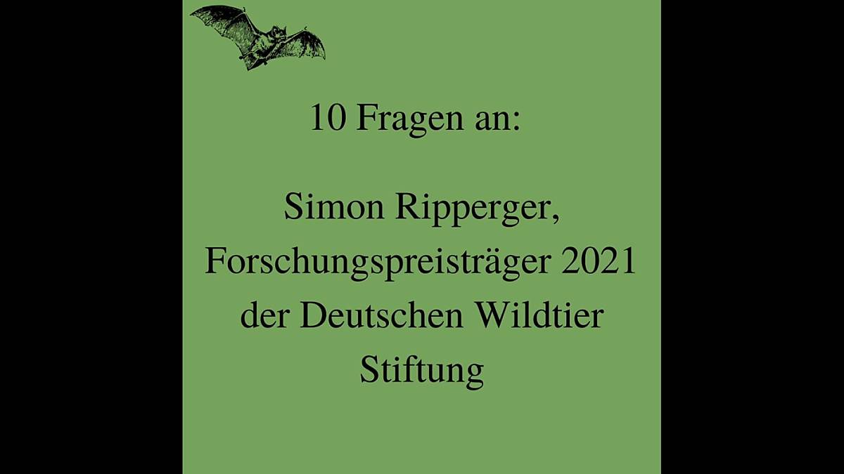 forschungspreis-teaser-10-fragen