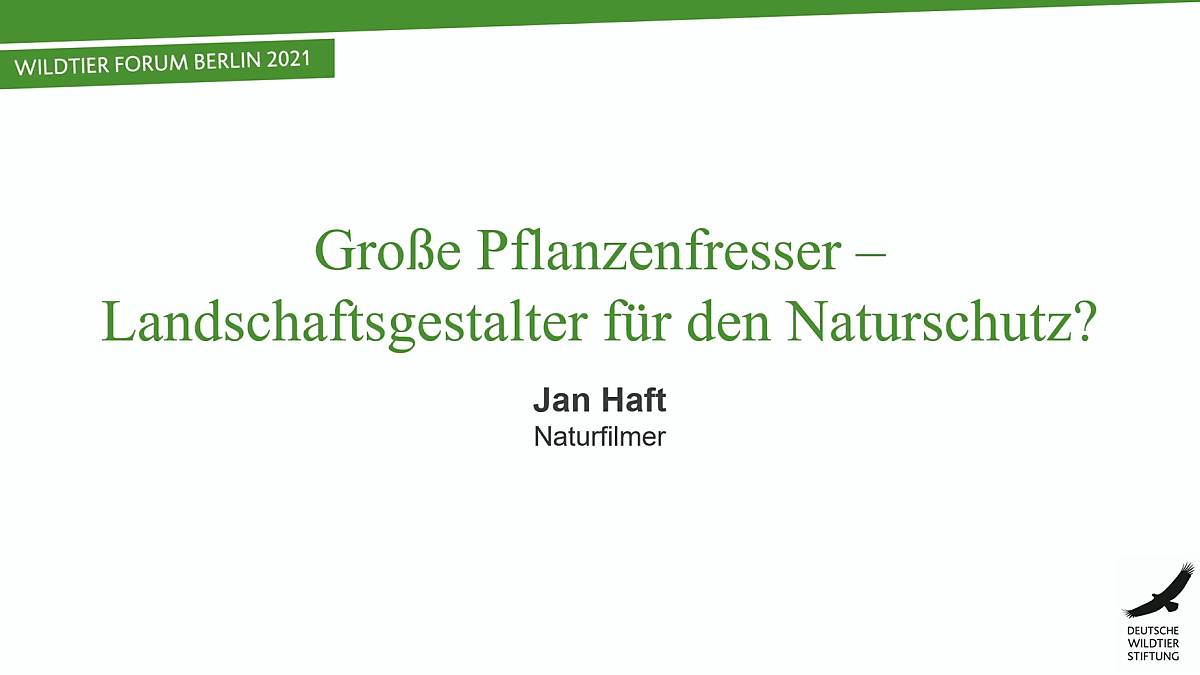 grosse-pflanzenfresser