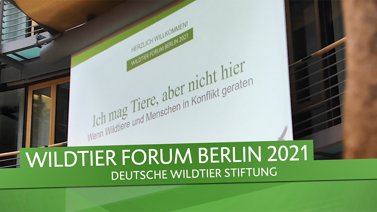 teaser-einfuehrung