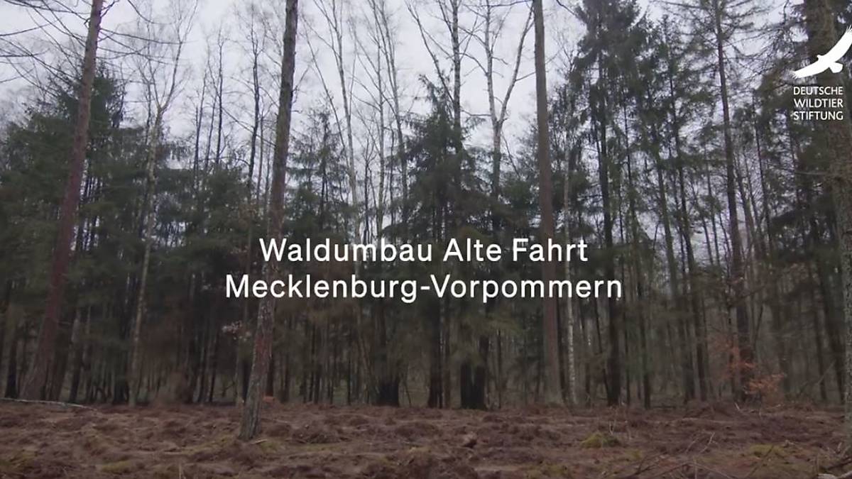 alte-fahrt