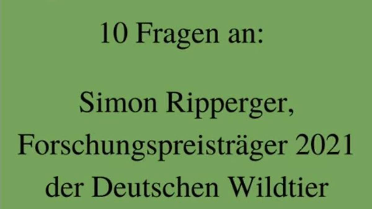 teaser-simon-ripperger