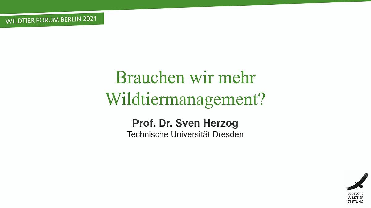 brauchen-wir-mehr-wildtiermanagement