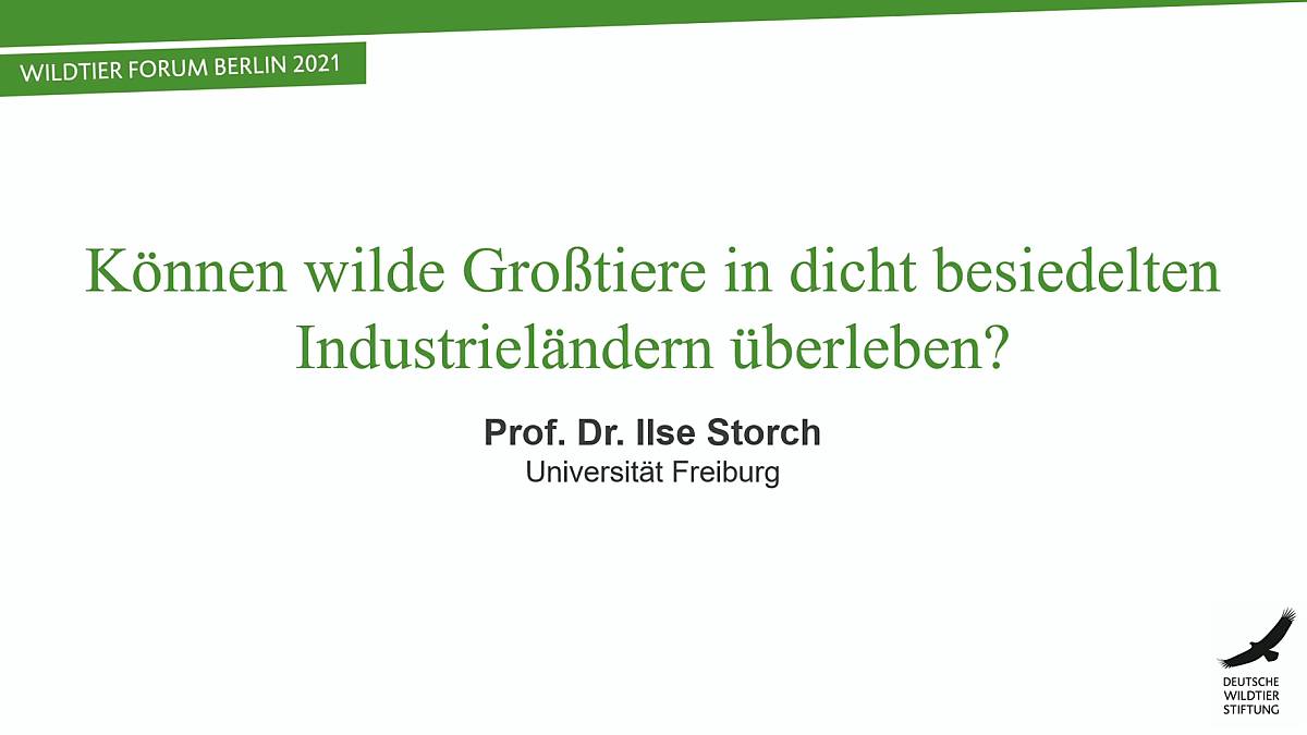 prof.-dr.ilse-storch-koennen-wilde-grosstiere