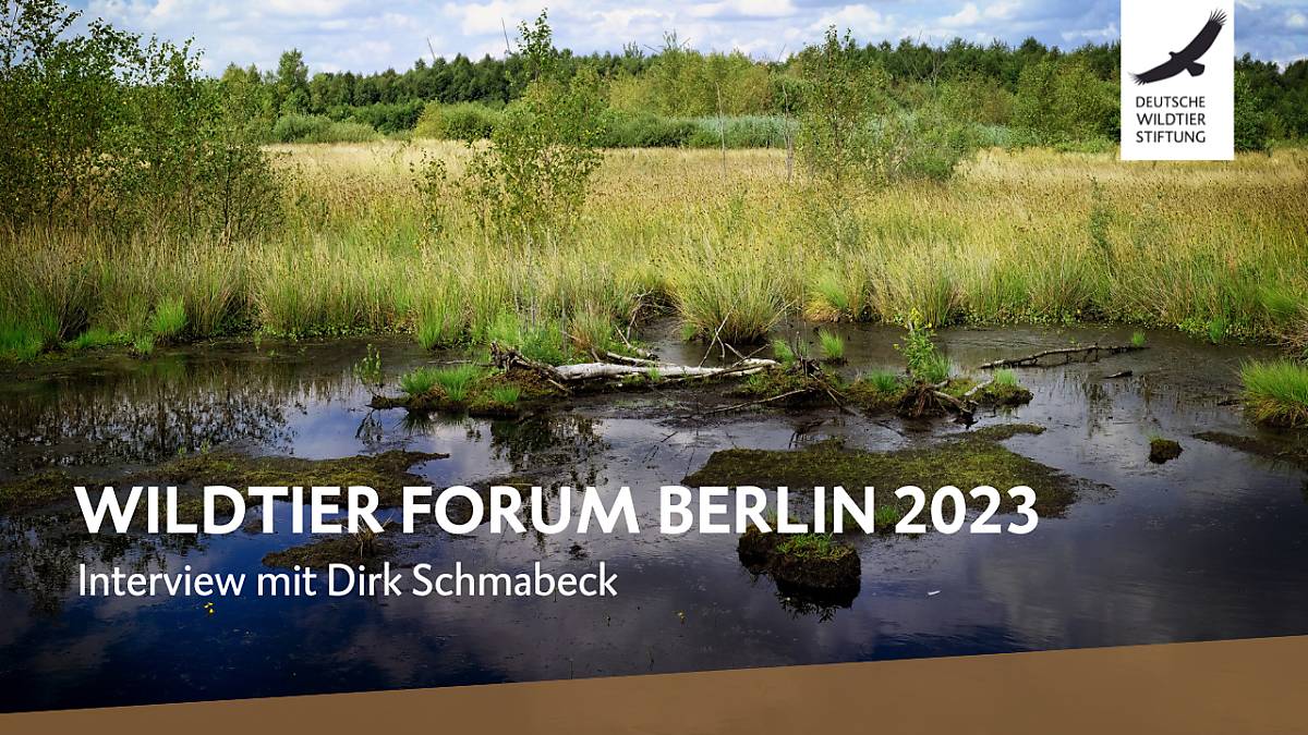 wildtier-forum-berlin-2023-dirk-schmabeck