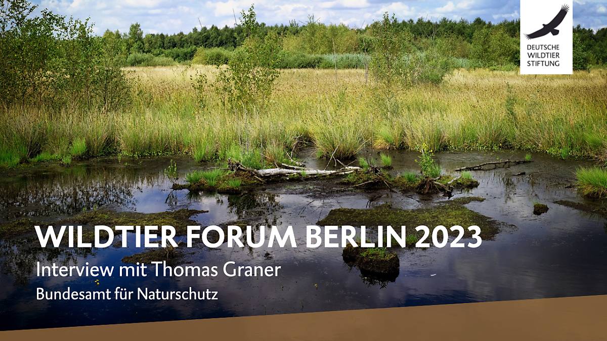 wildtier-forum-berlin-2023-thomas-graner