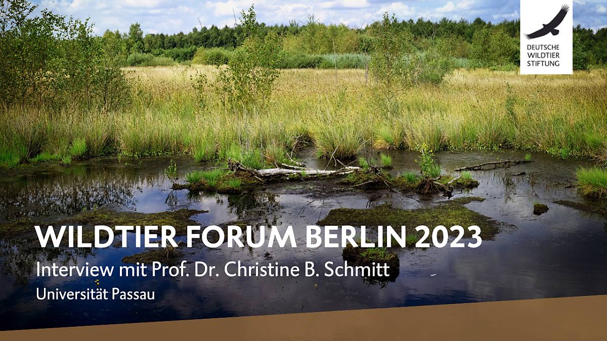 video-wildtierforum-berlin-sabine-schmitt