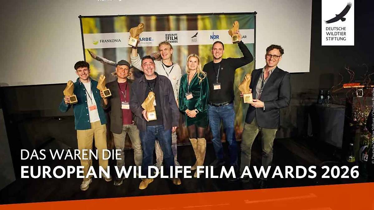 ewfa-preisverleihung-2026