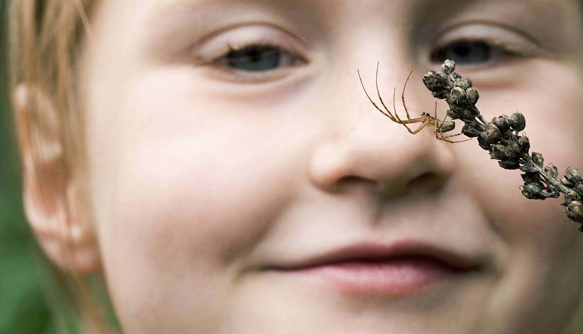 Mit Ihrer Spende unterstützen Sie unsere Naturbildungsprojekte.