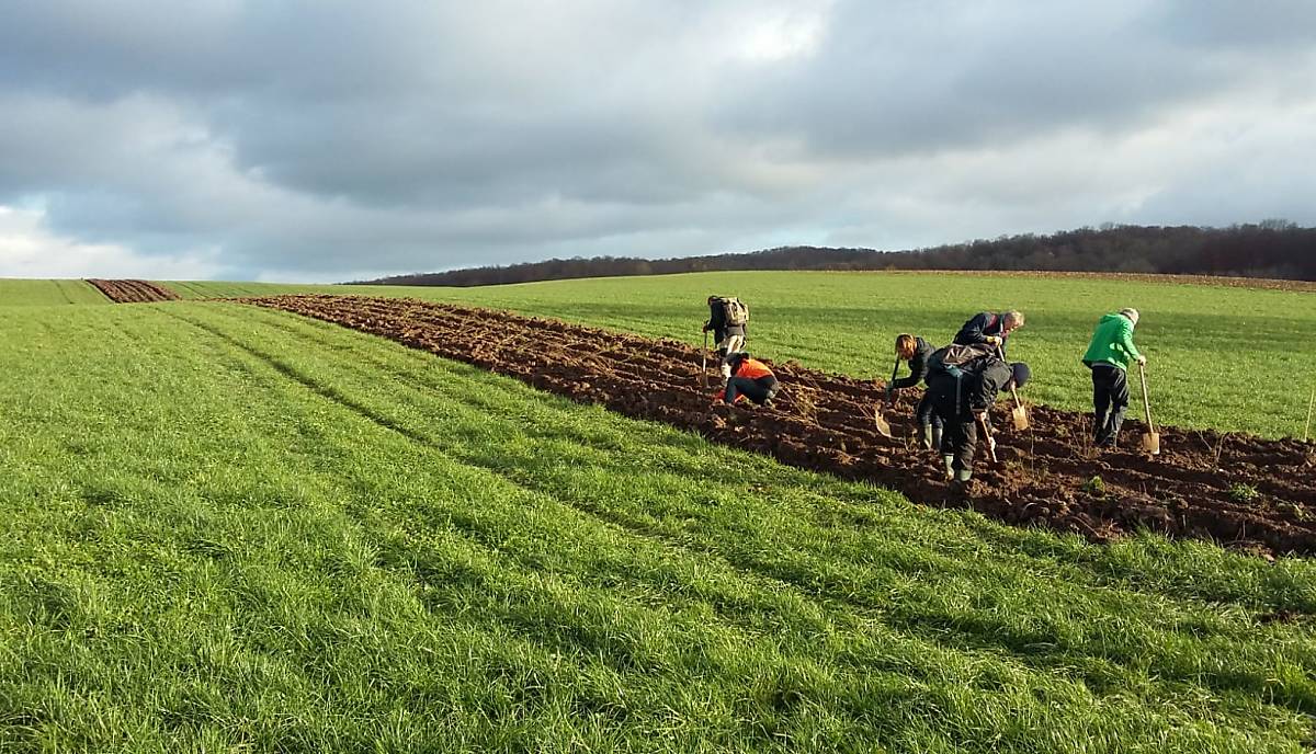 Ausgeräumte Landschaften bieten keinen Raum für Insekten und Co. Mit mehr als 50 Helfern wurde auf den Flächen eines lokalen Landwirtes in Niedersachsen eine Niederhecke für die Artenvielfalt gepflanzt. PARTRIDGE, ein Projekt der Georg-August-Universität Göttingen, unterstützt die Aktion - und wir unterstützen Partridge.  Foto: E. Gottschalk / PARTRIDGE