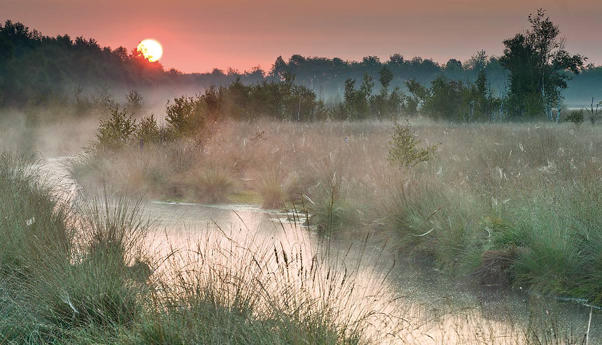 moorlandschaft_imagebroker_erhard-nerger_1500x865px