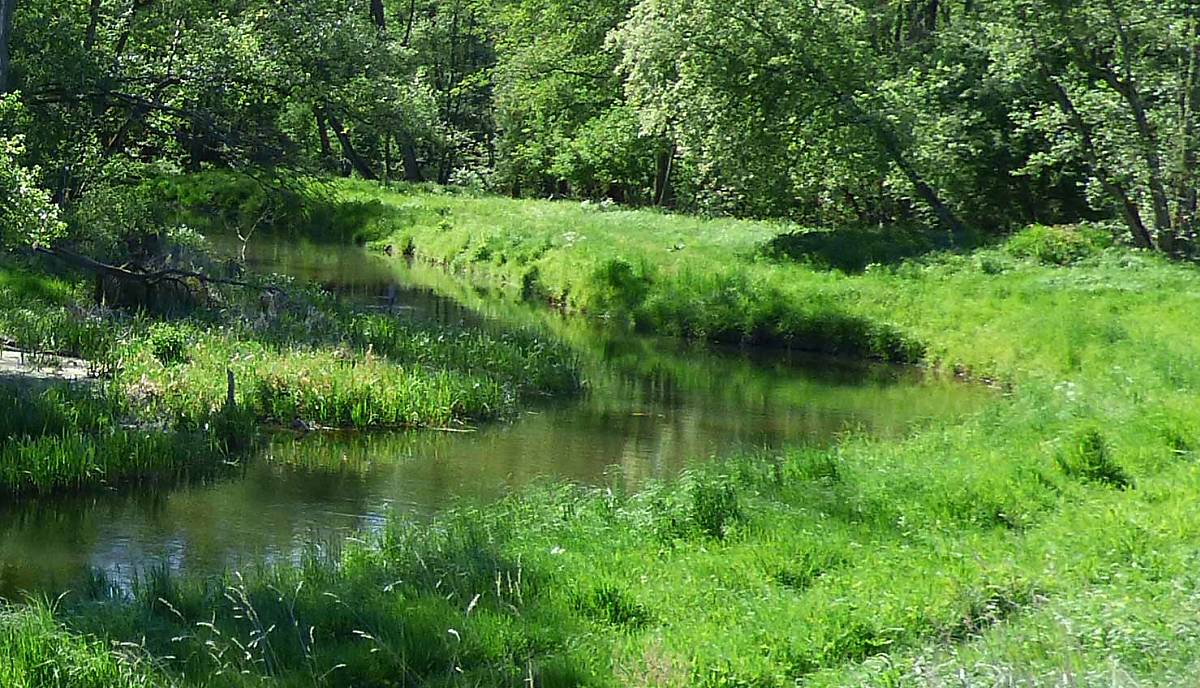 goldbach-ausschnitt_1500x900