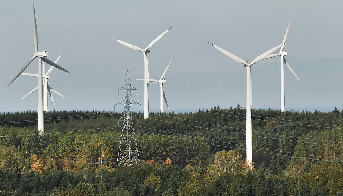 Windräder im Lebensraum Wald