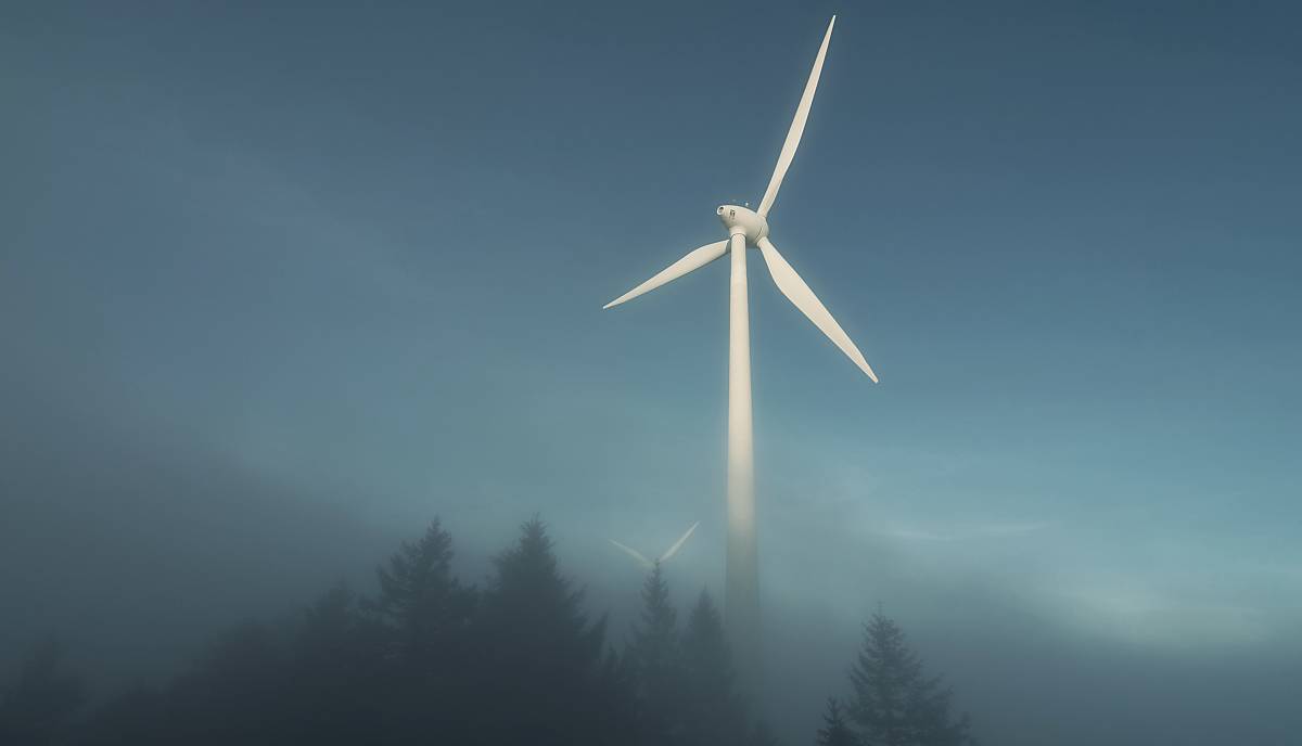 Studie zum Thema keine Windkraft im Wald