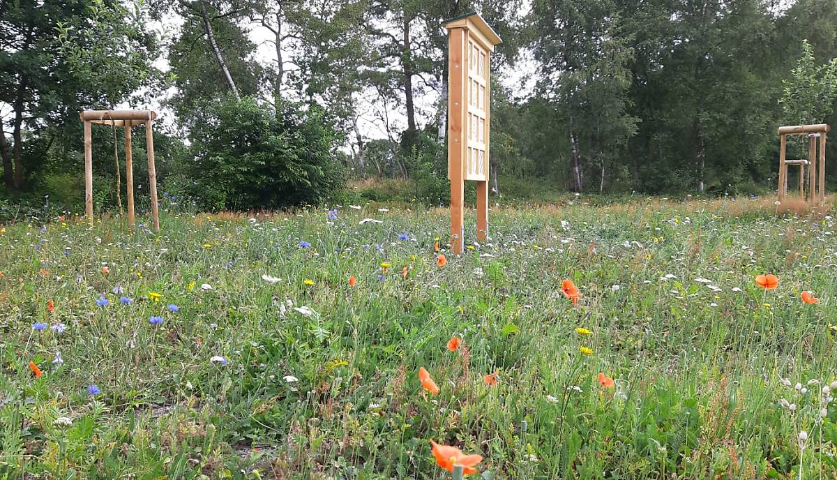 Blühwiese mit Wildbienenhotels.