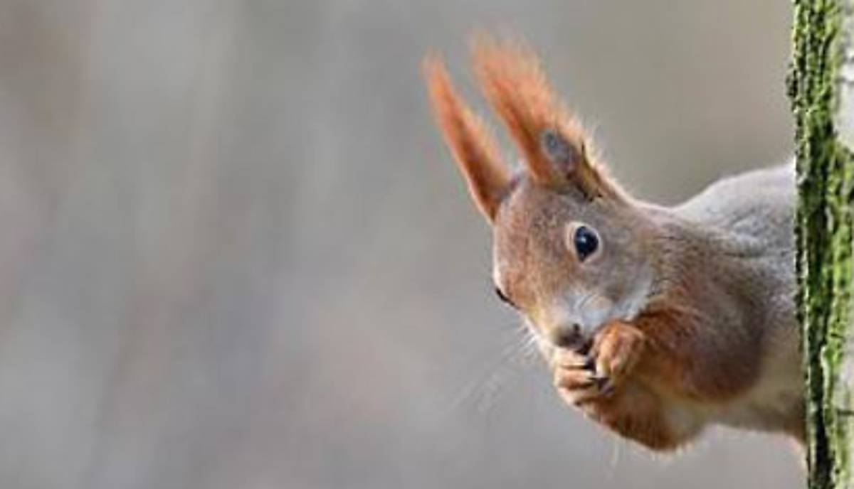 bild-testen-2