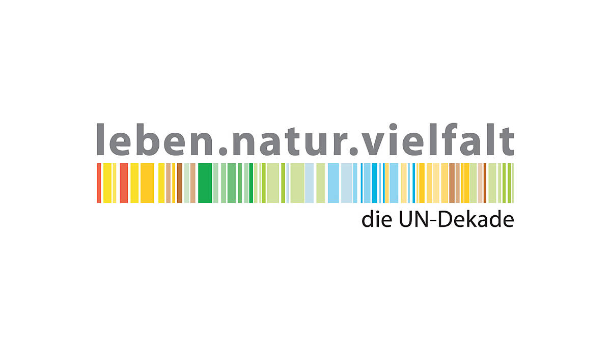 Logo UN-Dekade