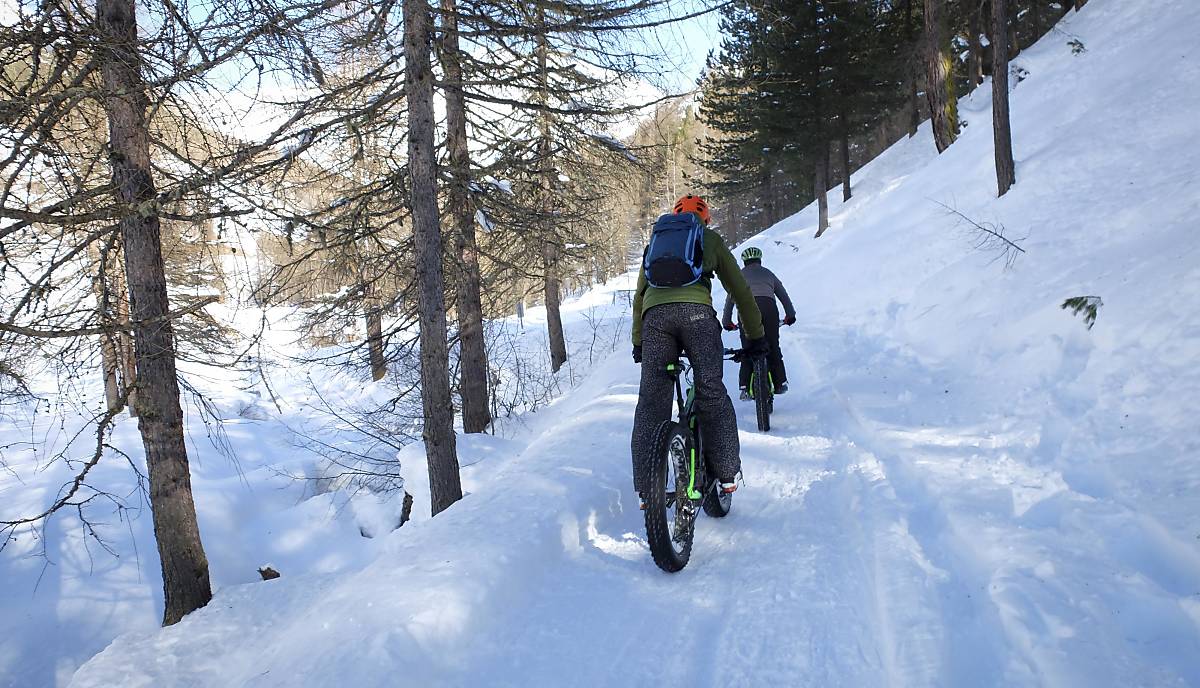 Mountainbiker im Wald (Foto: Imagebroker Meike Engels)