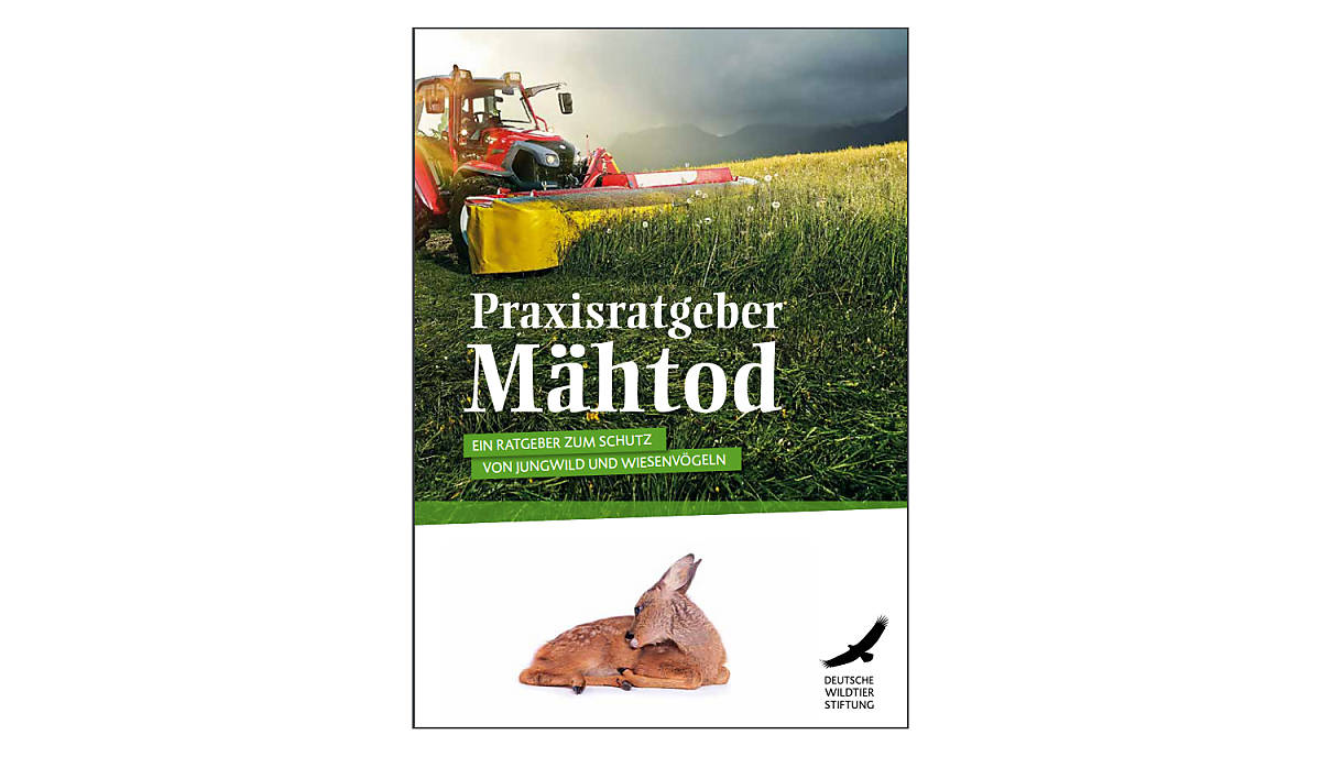 cover-ratgeber-maehtod-download