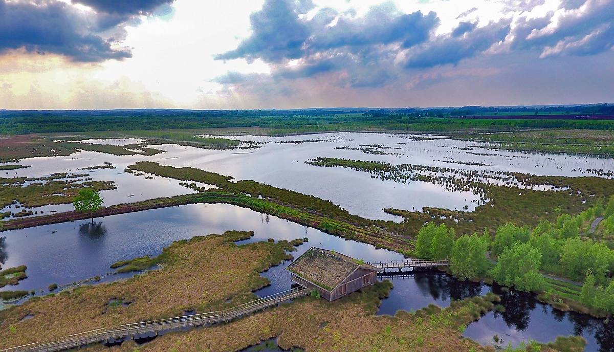 Aschhorner Moor Foto: Christian C. Schmidt