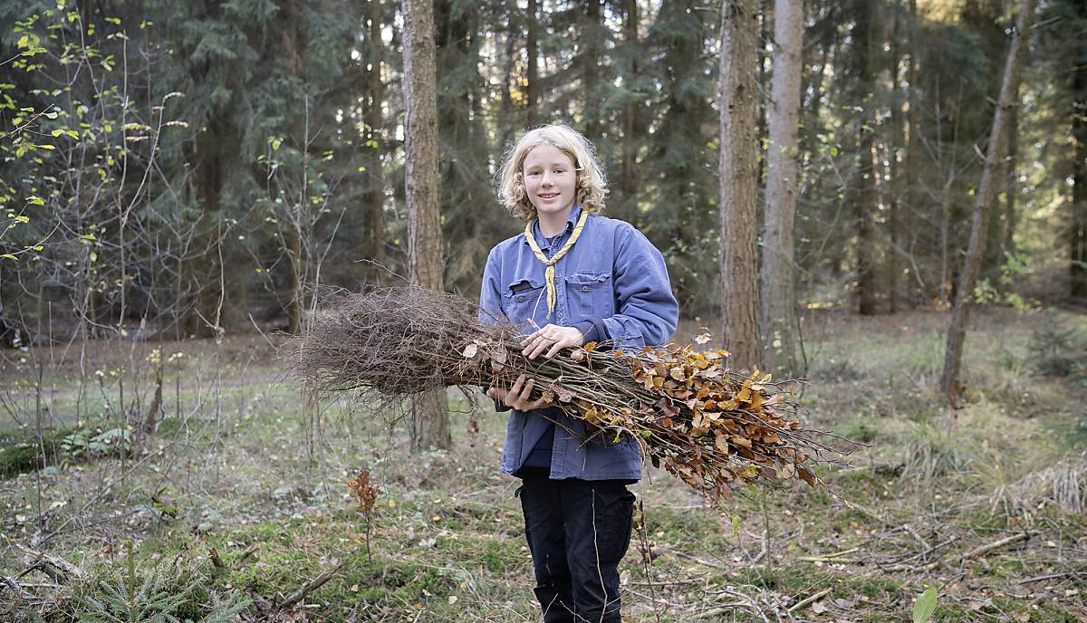 Pflanzaktion für den guten Zweck: Knapp 6000 Setzlinge haben die Pfadfinder auf der Stiftungsfläche Fintel gepflanzt. Foto: Michael Korte