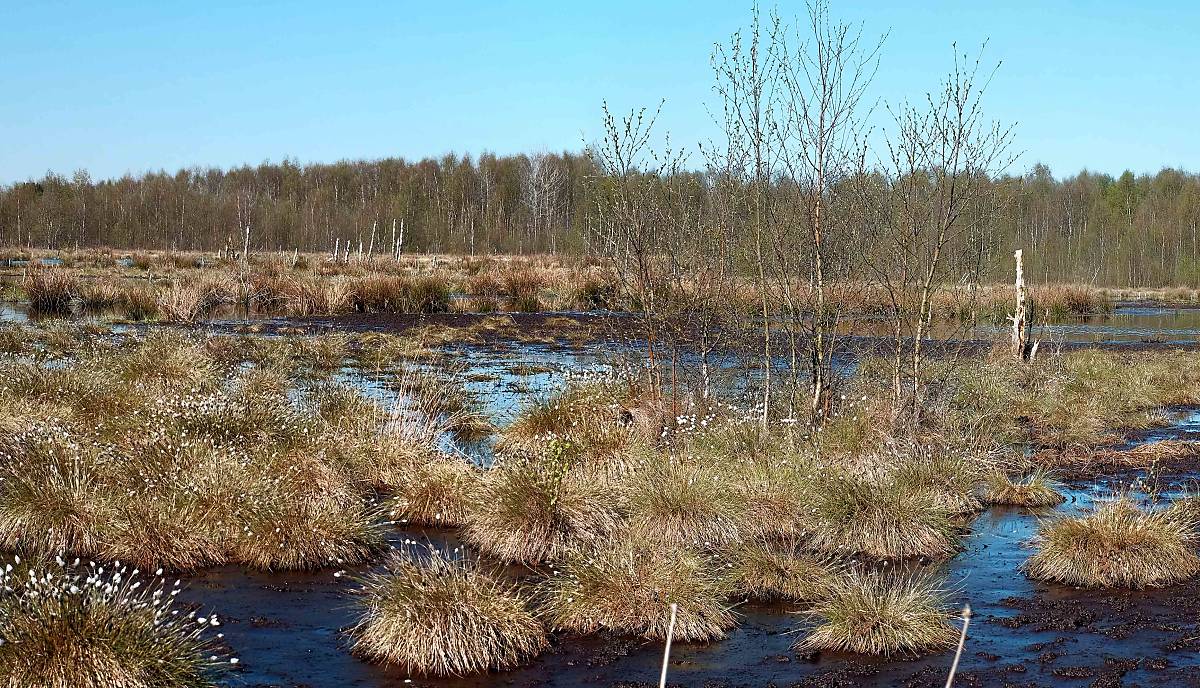 header-aschhorner-moor-besuch_04-2022