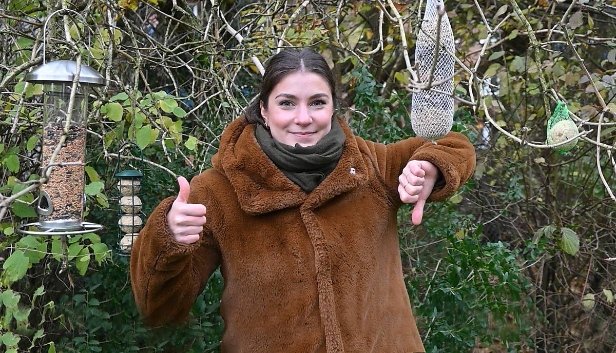 headermotiv-neu-6-gespiegelt-vogelfutter