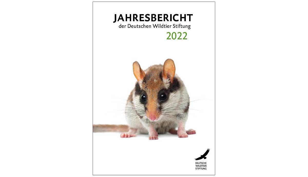 jahresbericht_2022