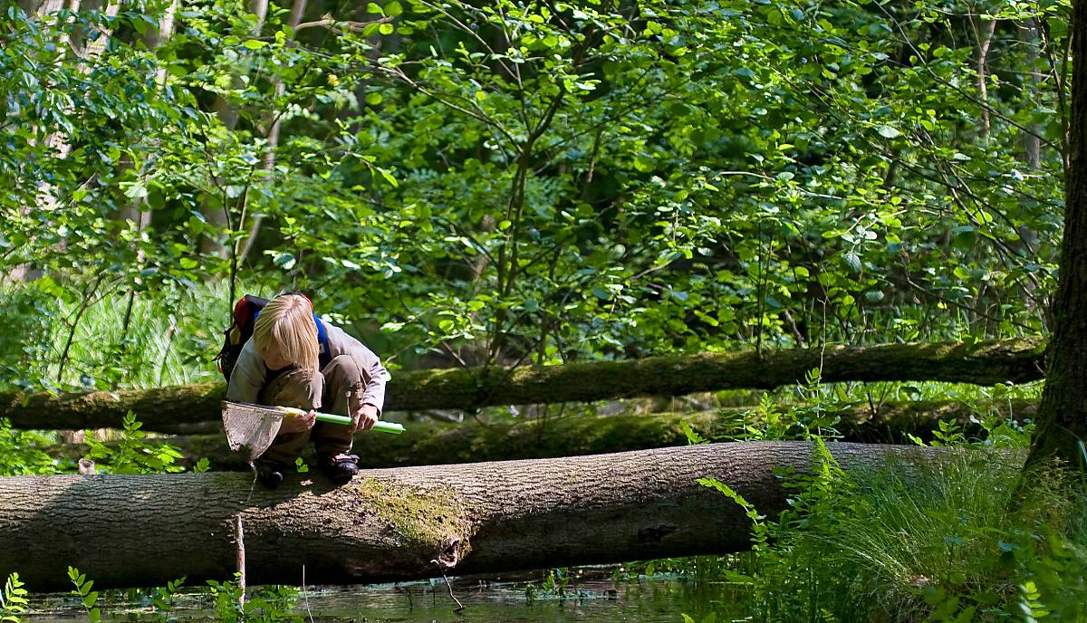 Grundsätze unserer Naturbildungsarbeit