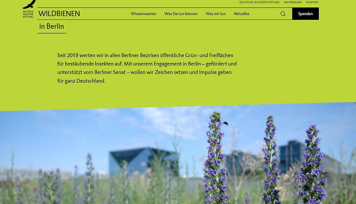 teaserbild_wildbienen-website-berlin