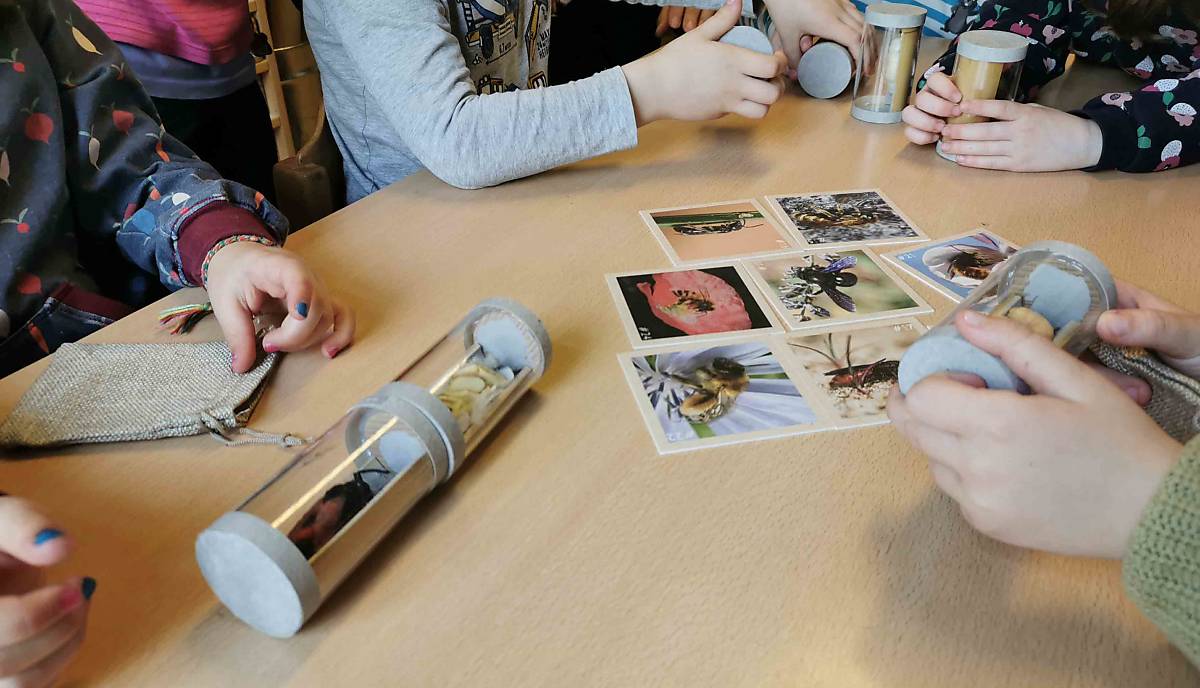 Naturbildungskoffer im Einsatz