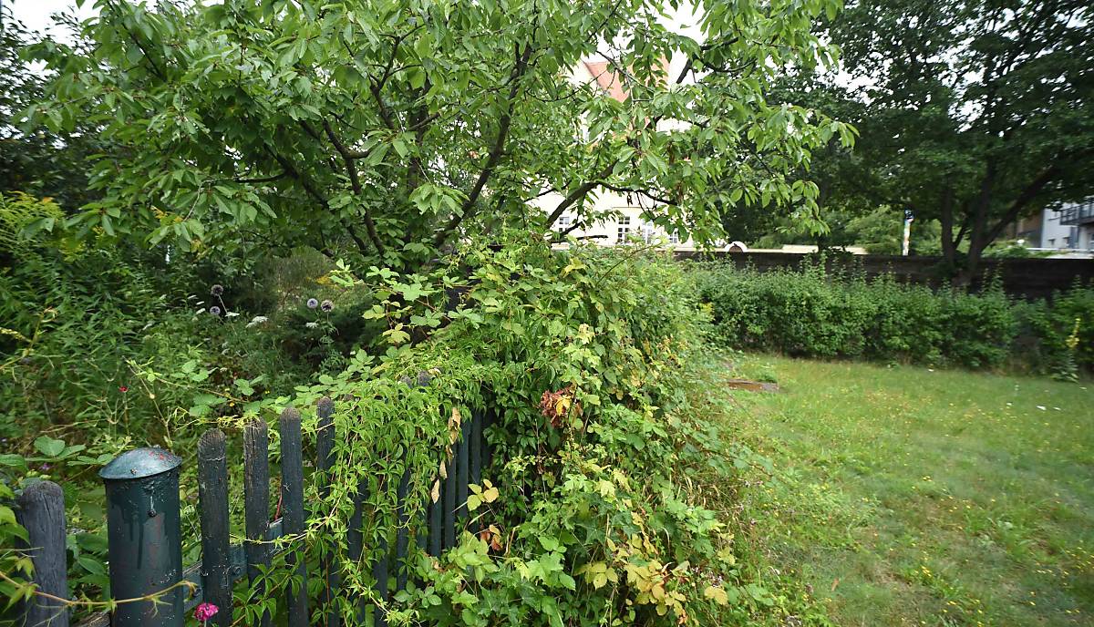 Bäume spenden wertvollen Schatten und unterschiedlich hohe Pflanzen schaffen Strukturen