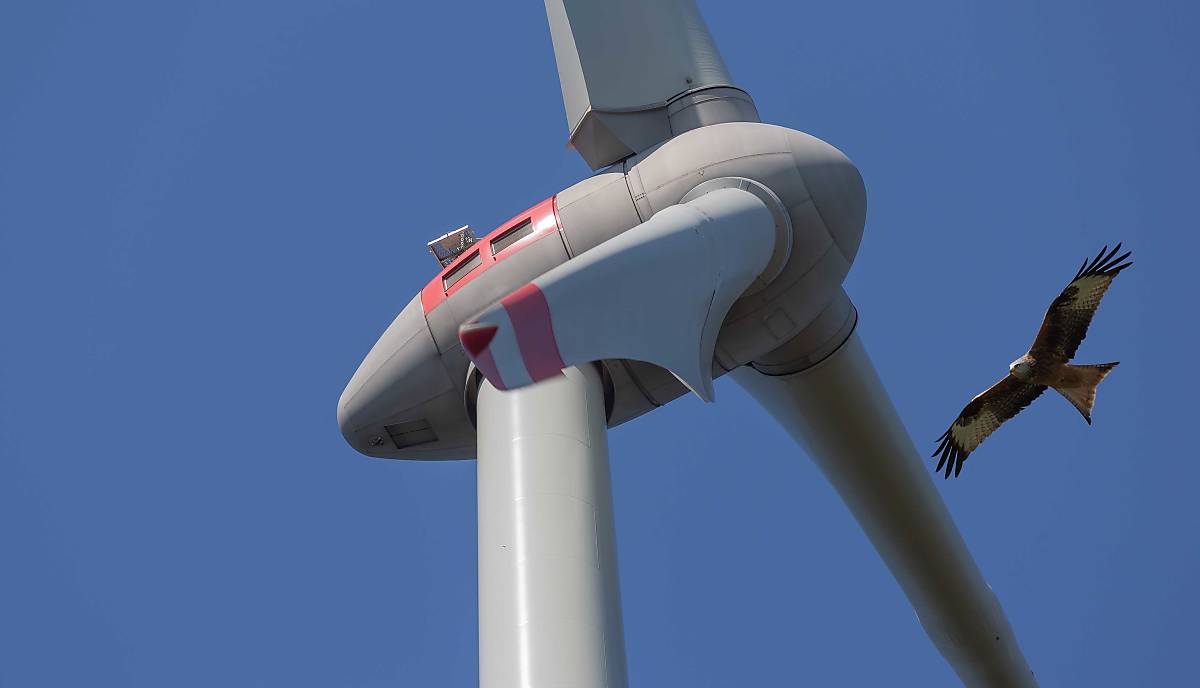 Windkraftanlage und Rotmilan im Flug
