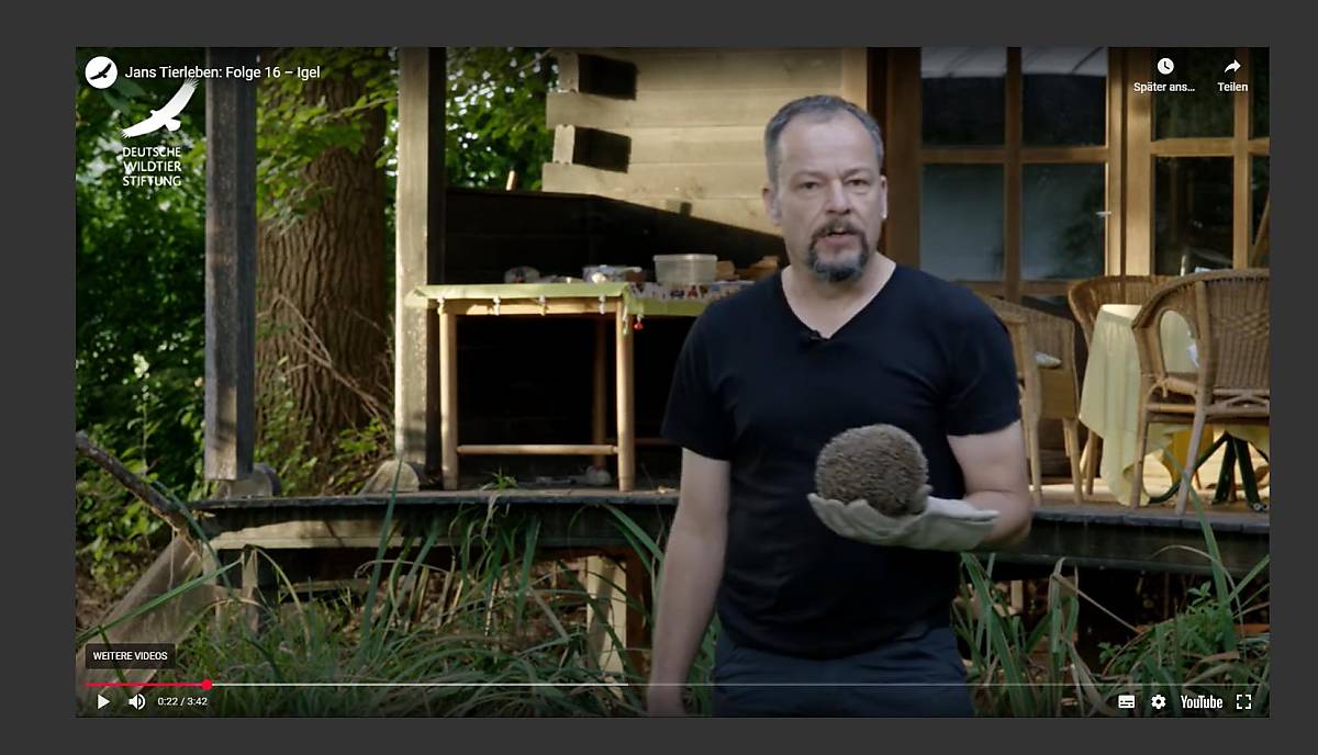 mediathek_jans-tierleben_folge-16_der-igel_teaser-2