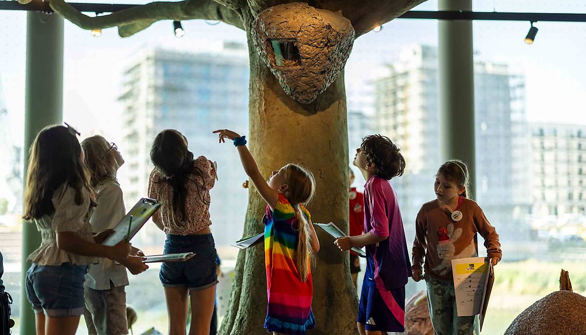 In der Ausstellung der Botschaft der Wildtiere