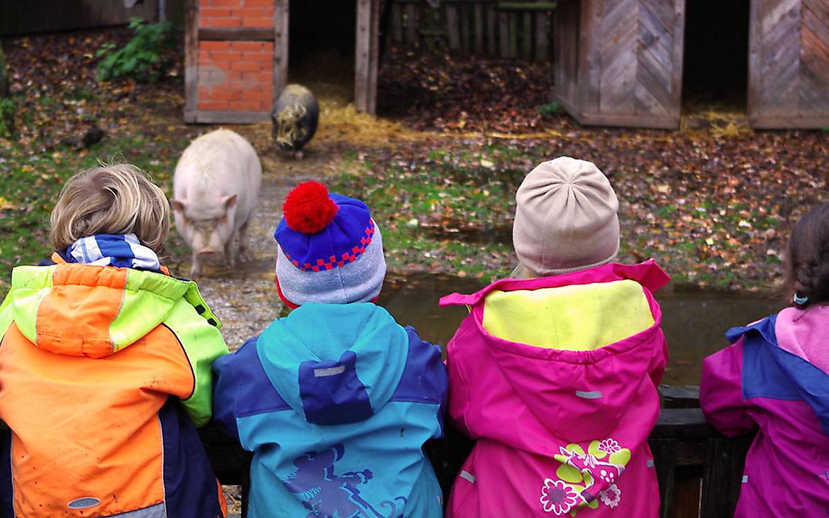 Die Kinder des Farmkindergarten Obervieland e.V.
