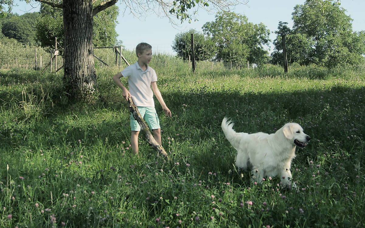 Kind spielt mit Hund