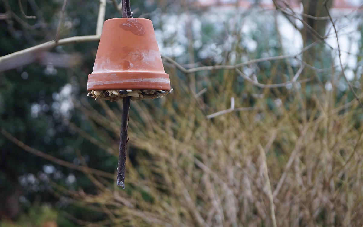 Futterglocke Vogelfutter