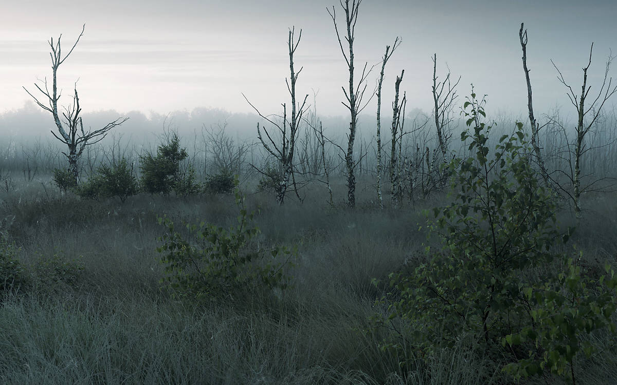 blog_welttag-der-feuchtgebiete_fullscreenheader