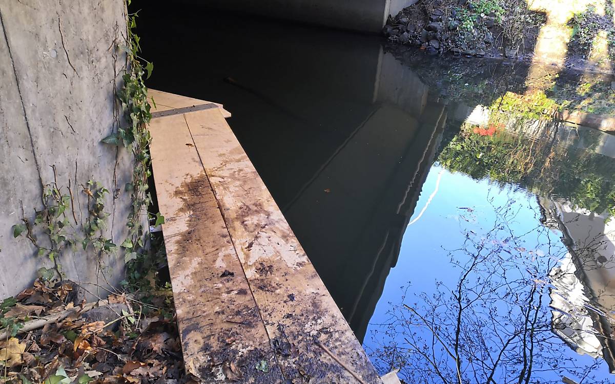 Einstieg zum Laufsteg für die Fischotter Foto: © SCHORISCH Magis GmbH