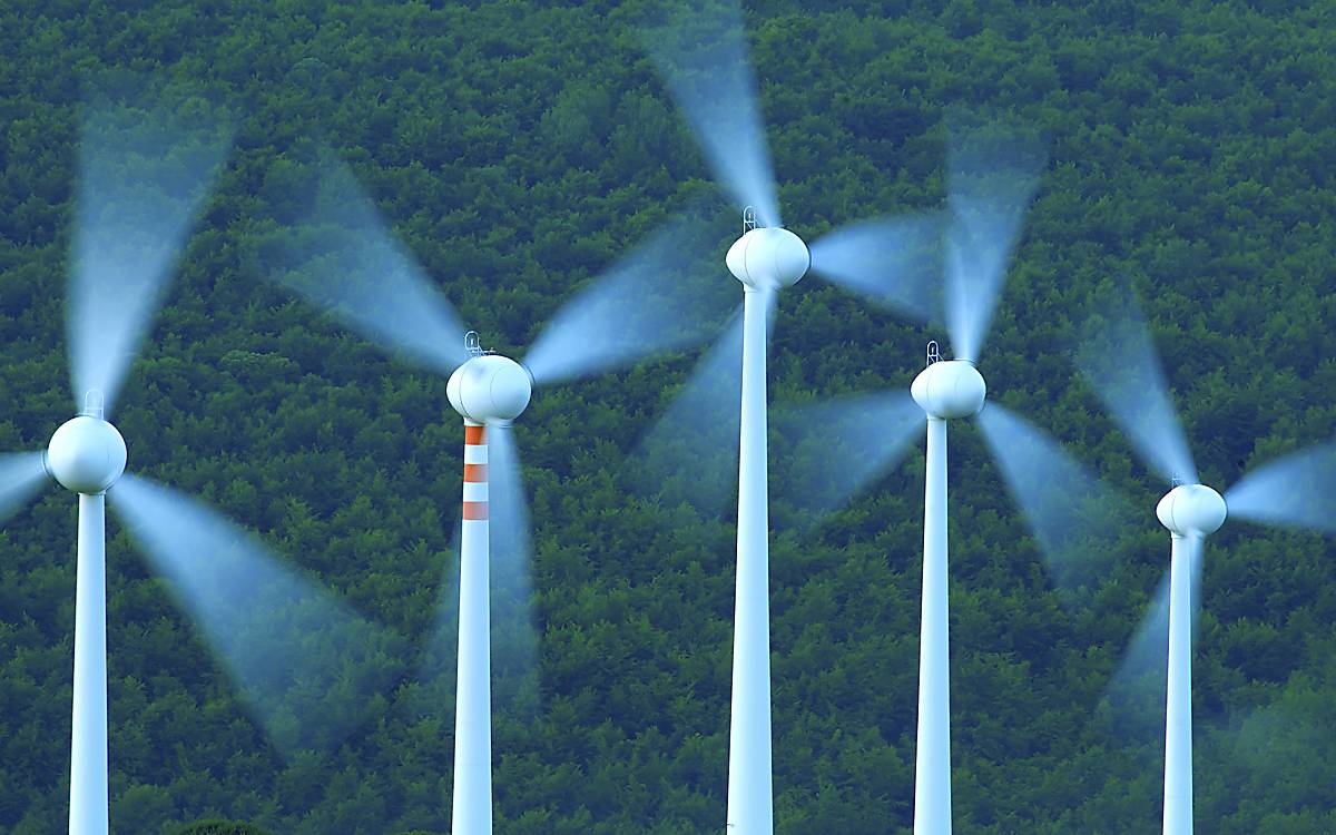 Windenergie und Artenschutz auf Kollisionskurs - Copyright (c) 2017 Pier Martini/Shutterstock