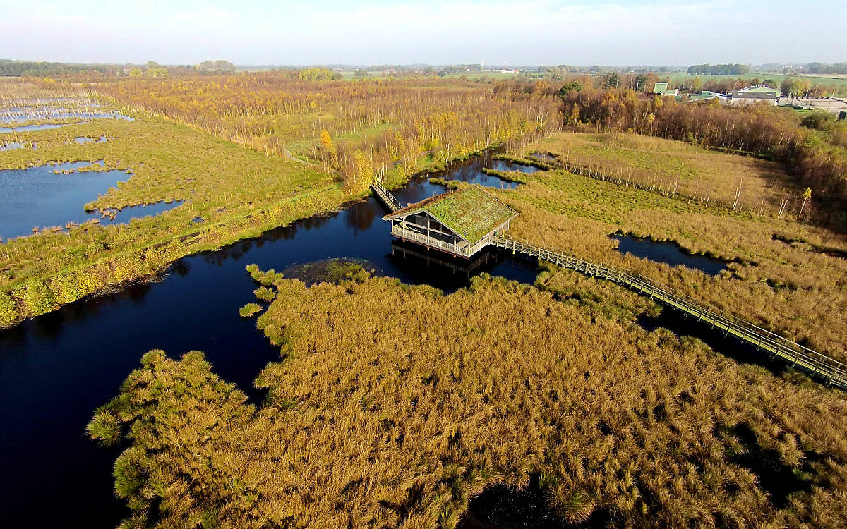 Luftaufnahme vom Aschhorner Moor Fotograf: H.-G. Hengstermann GmbH