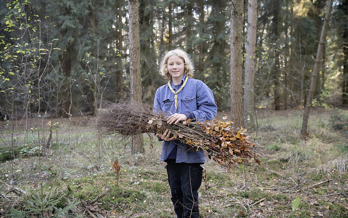 Pflanzaktion für den guten Zweck: Knapp 6000 Setzlinge haben die Pfadfinder auf der Stiftungsfläche Fintel gepflanzt. Foto: Michael Korte