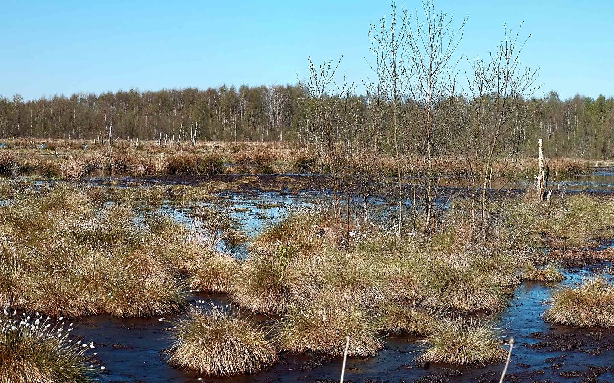 header-aschhorner-moor-besuch_04-2022