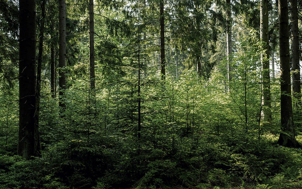 teaser-2-unser-flaecheneigentum