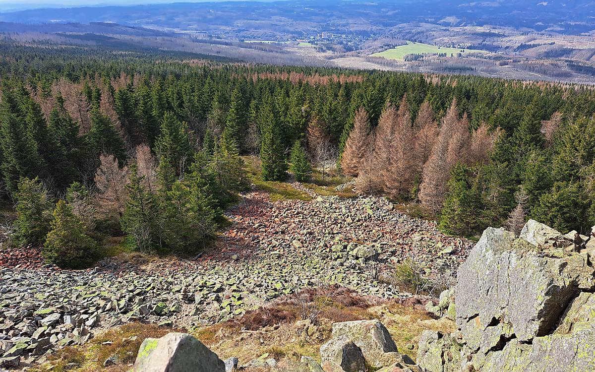 Blockschutthalde und Klippen im Harz – ein typischer Lebensraum des Gartenschläfers.