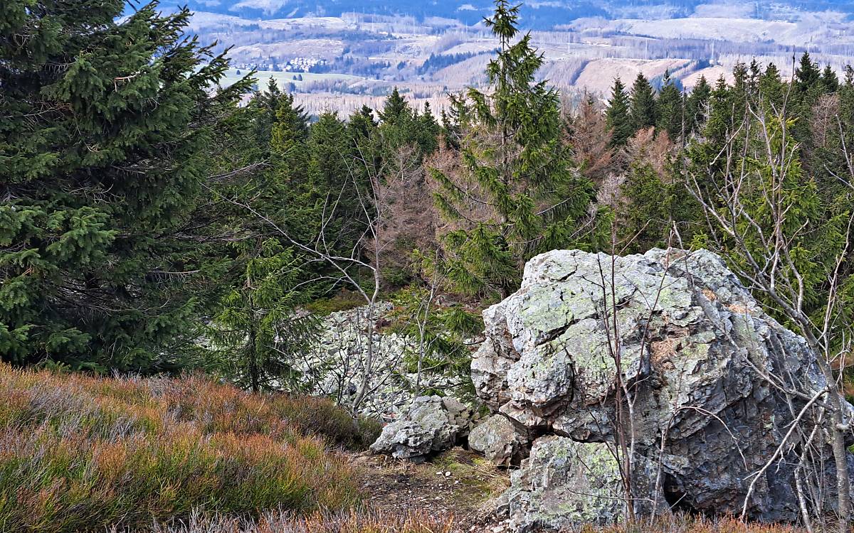 So sieht ein geeigneter Lebensraum aus: Felsen und Gesteinsblöcke, ein strukturreicher Wald und früchtetragende Sträucher.