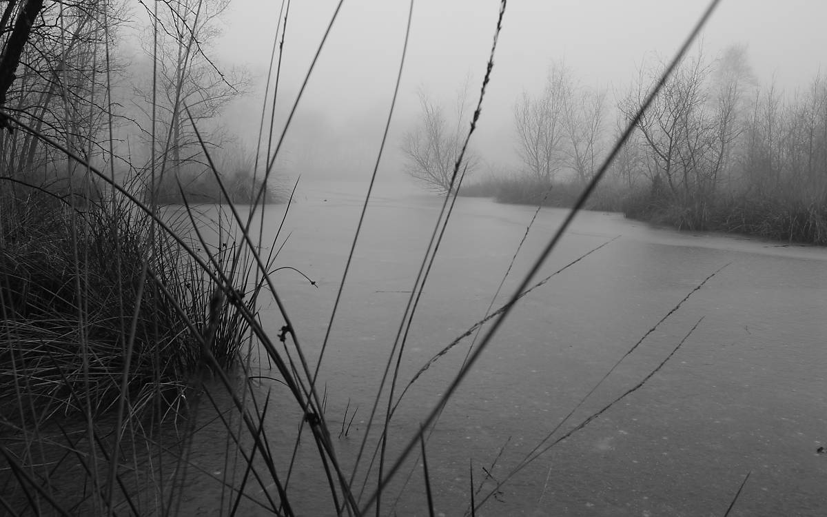 Moorlandschaft im Winter - Fotograf: H.-G. Hengstermann GmbH