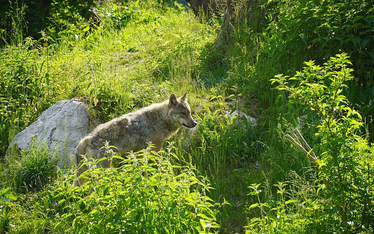 eggersmuehlen_impressionen_wolf_robert-krickl_galerie