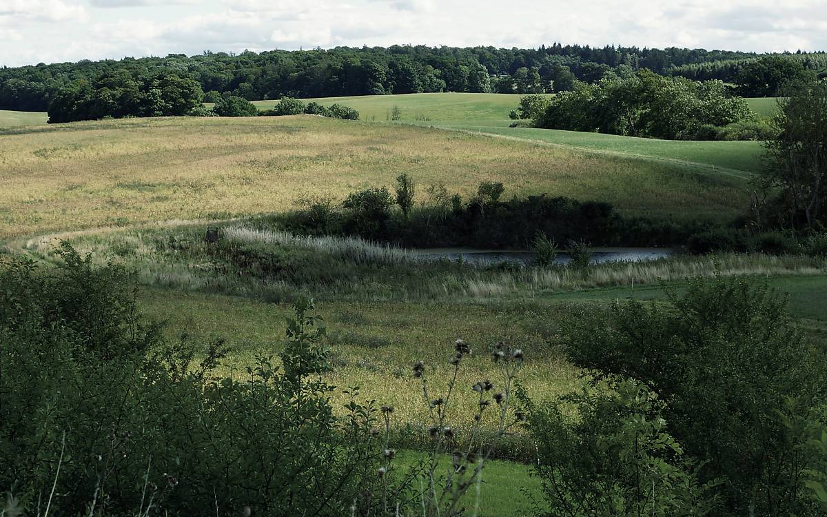 Landschaft von Klepelshagen