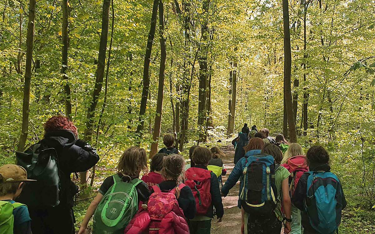 Auf in den Wald!